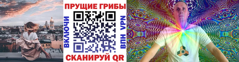 продажа наркотиков  Красноярск  Псилоцибиновые грибы мицелий 